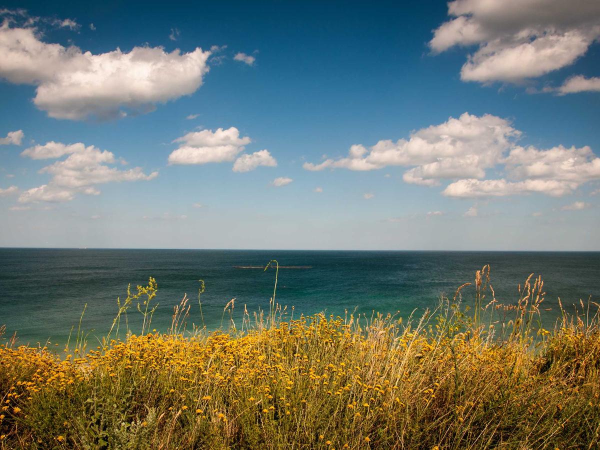 This is the alt text 